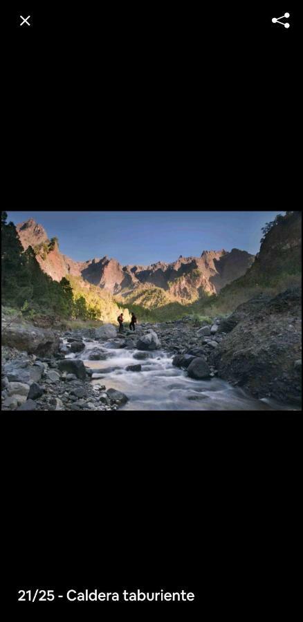 Villa La Ponderosa ลอสยานอส เด อารีดาเน ภายนอก รูปภาพ